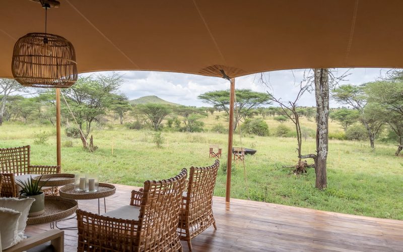Serengeti Acacia Bliss 8