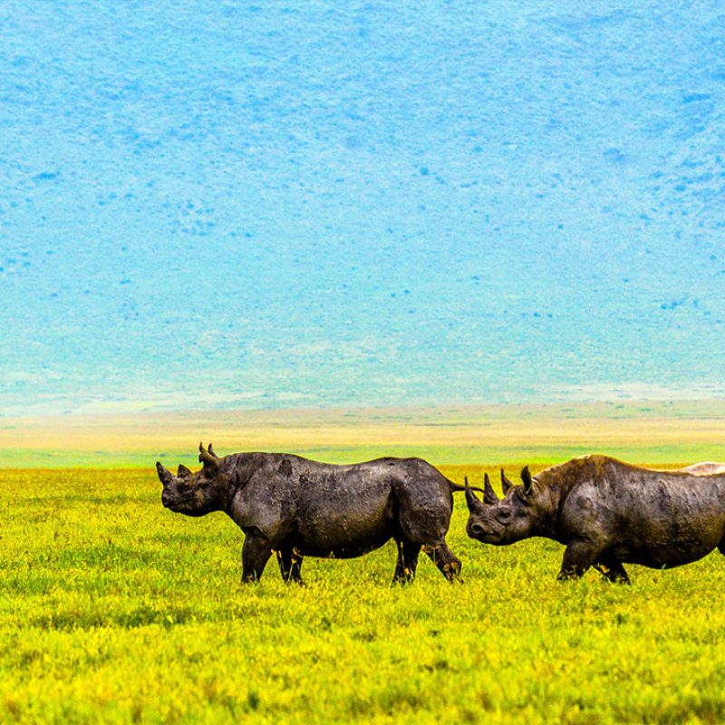 ngorongoro-crater